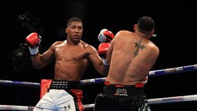 Cisza przed demolką. Anthony Joshua ciężko zbił pogromcę Tomasza Adamka