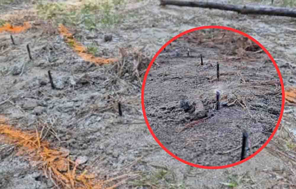 Przewóz: Zabójcza pułapka w lesie. Metalowe ostre wkręty celowo umieszczone w drodze