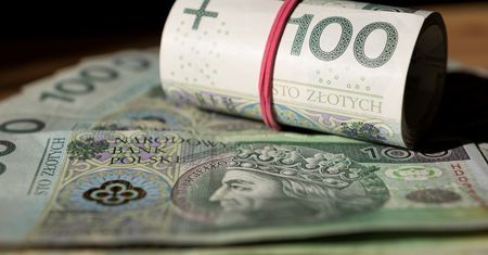 Polska co roku traci 17 mld zł. Szokujące dane MF