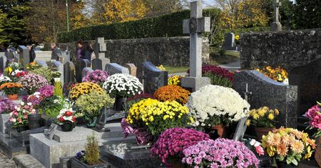 Wsyp do wazonu na cmentarzu. Kwiaty dłużej zachowają świeżość