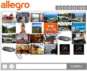 AlleWidget, ale gdzie on się podział? Starcie z Allegro webApi - wpis krótki