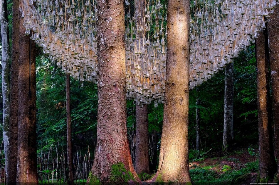Arte Sella to niezwykłe leśne muzeum