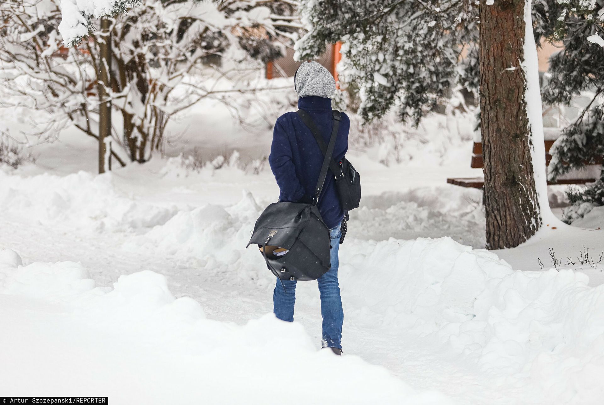 wiadomości,aktualności,WP Wiadomości Ważny komunikat Poczty Polskiej. List nie dotarł? Są utrudnienia przez pogodę