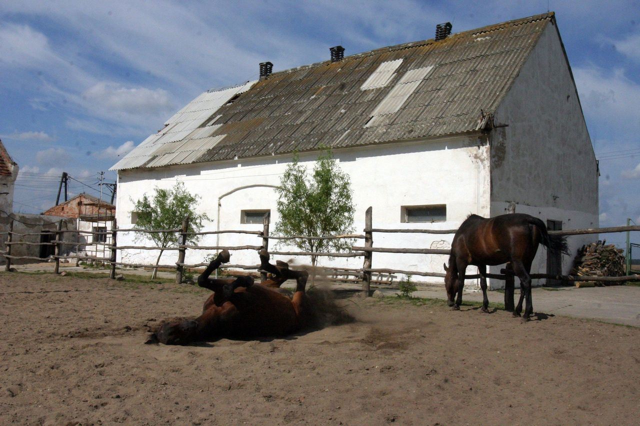 Czas goni rolników. Ministerstwo wyznacza nowy termin na wymianę dachów