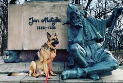 Pies ambasadora Brzezinskiego ma profil na Instagramie i "dziękuje za gościnność"