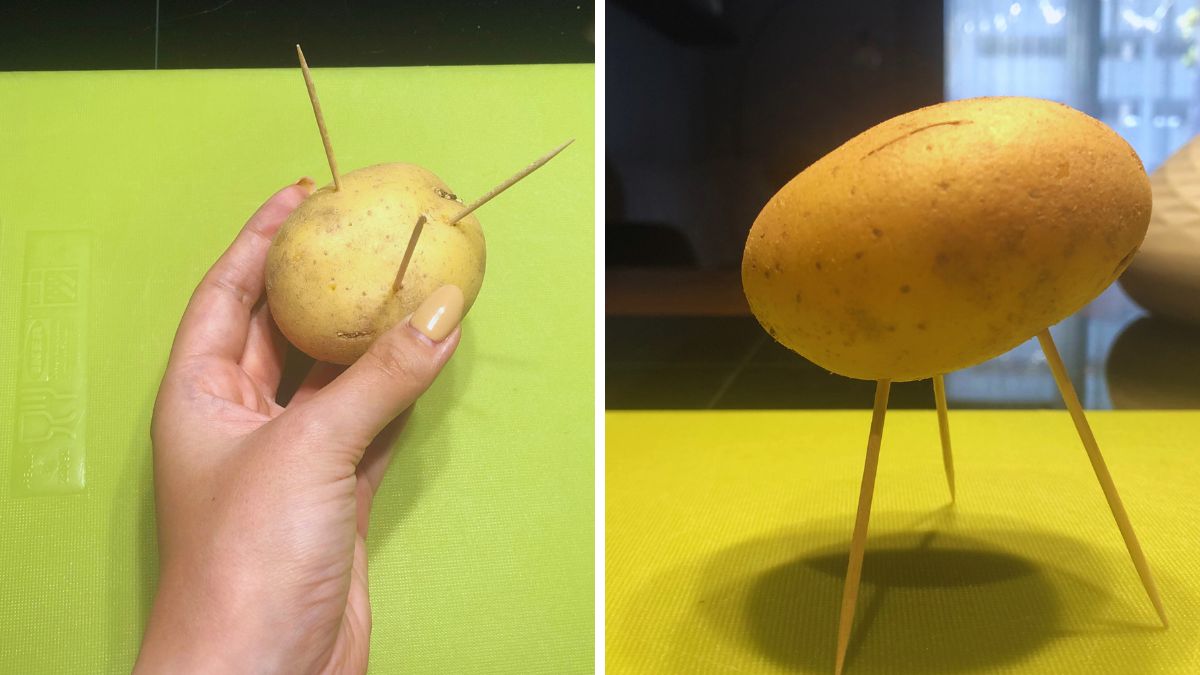 Wbijanie wykałaczek w ziemniaki ma głębszy sens