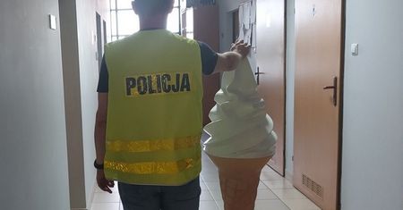 Ukradł loda o wartości 1 tys. zł. Grozi mu 5 lat więzienia