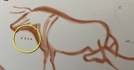 Eksperci łamali sobie głowy. Prehistoryczną zagadkę rozwiązał amator
