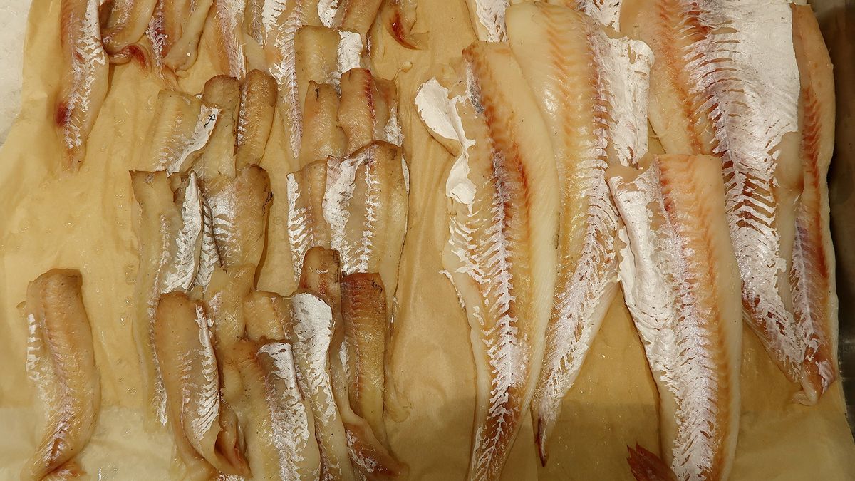 Panga to twór genetyczny, nie występuje naturalnie w przyrodzie