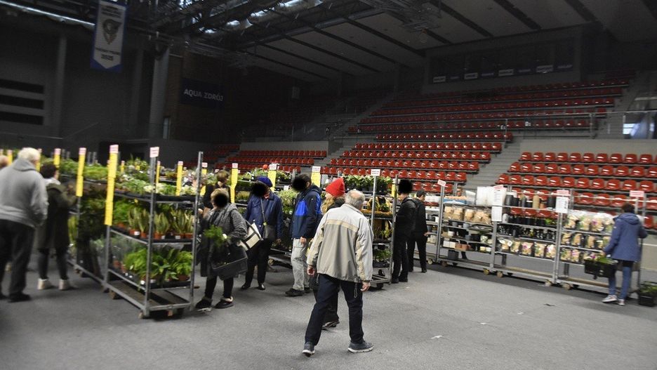 Festiwal Roślin w wałbrzyskim Aqua Zdroju