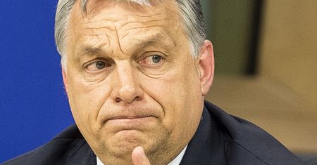 "Mam tylko jedno przesłanie". Podsumował Orbana. Padło wulgarne słowo