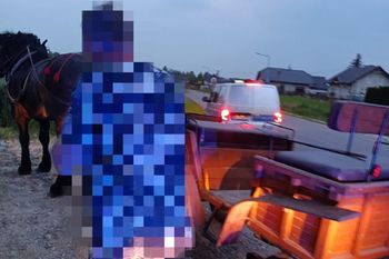 Z ponad 3 promilami powoził zaprzęgiem konnym. Grozi mu surowa kara