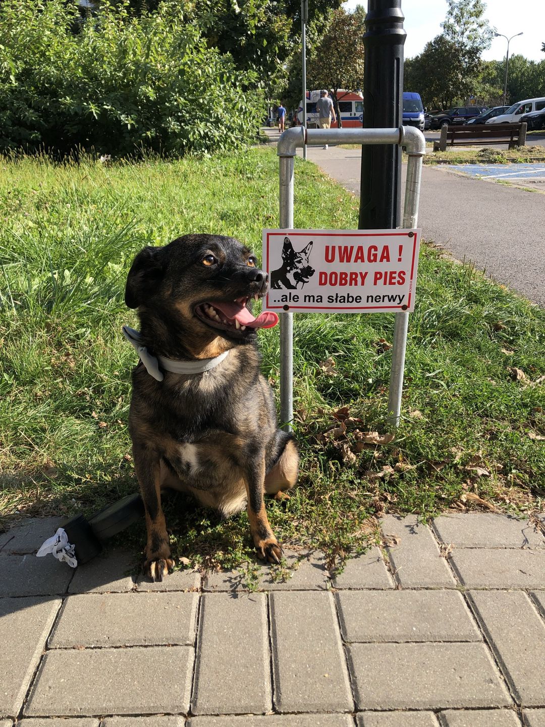 Nowe życie zaczął od zmiany imienia na Grinch