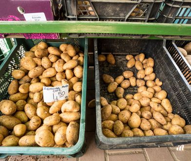 Ceny ziemniaków pójdą w górę. Piechociński podaje kwotę