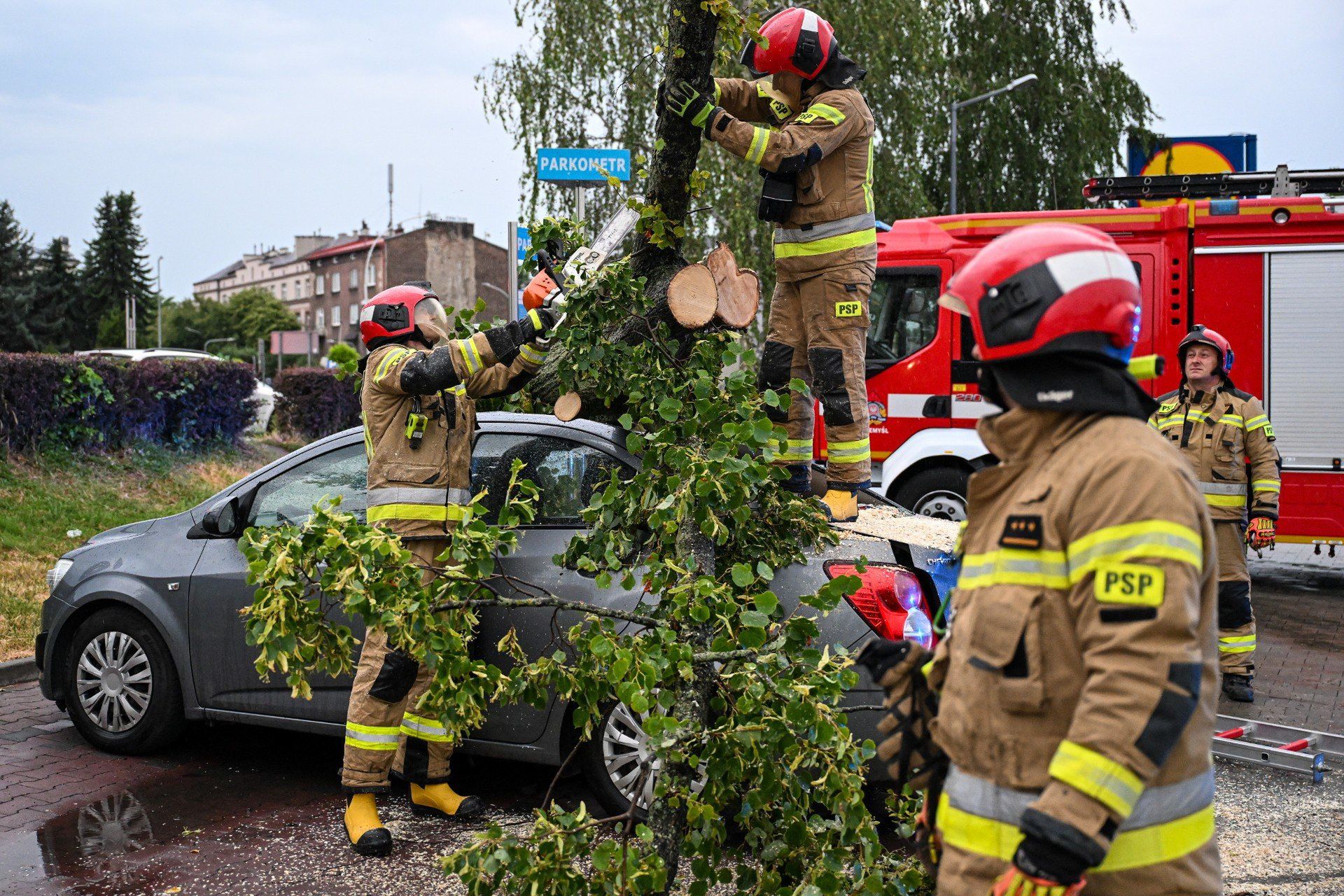 Drzewo spadło na auto na parkingu Lidla przy ul. Mickiewicza.