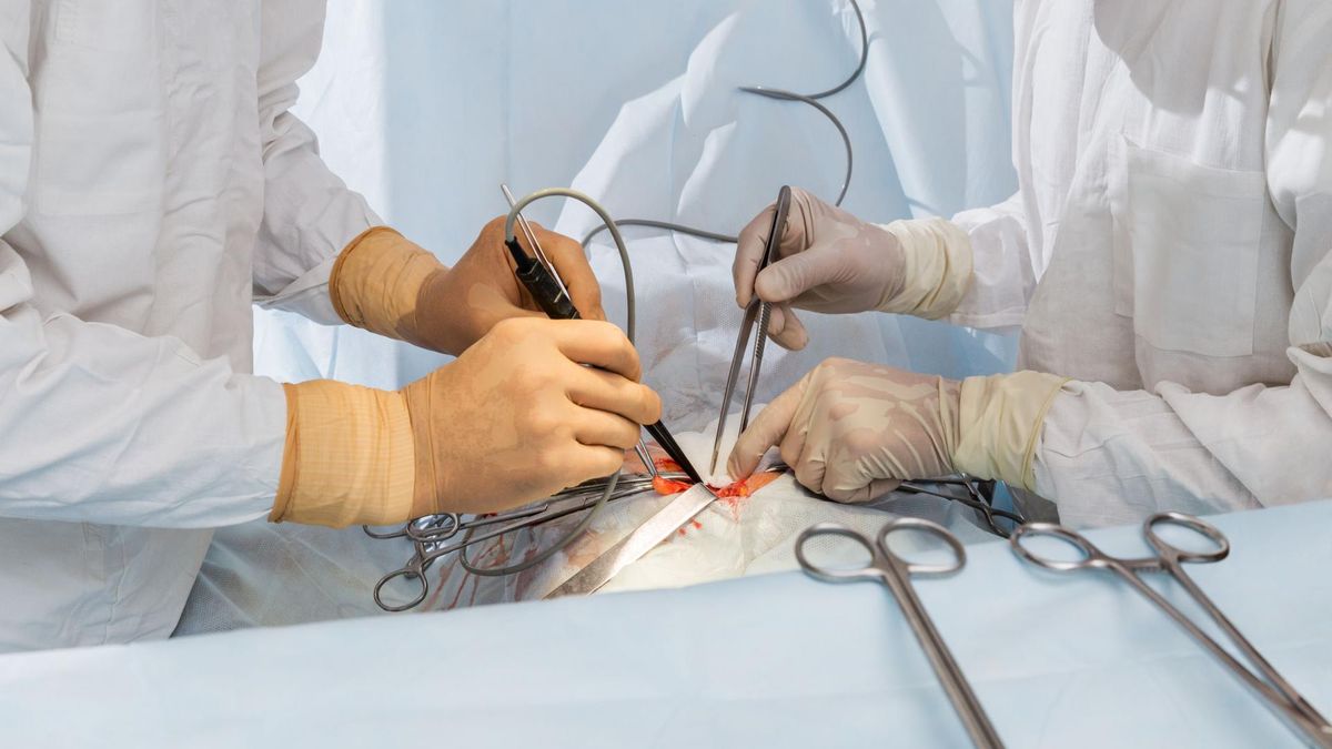 Przeszczep przeciwko gospodarzowi