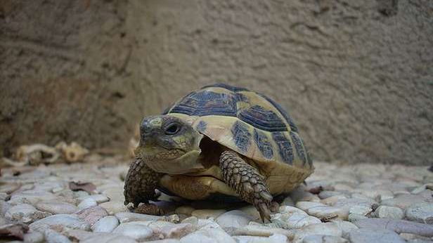Minimalna prędkość łącza gwarantowana w umowie? Trwają prace nad zmianą prawa 1