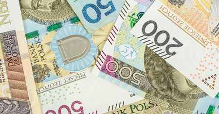 Oto jak kurs złotego zareagował na kluczową decyzję RPP