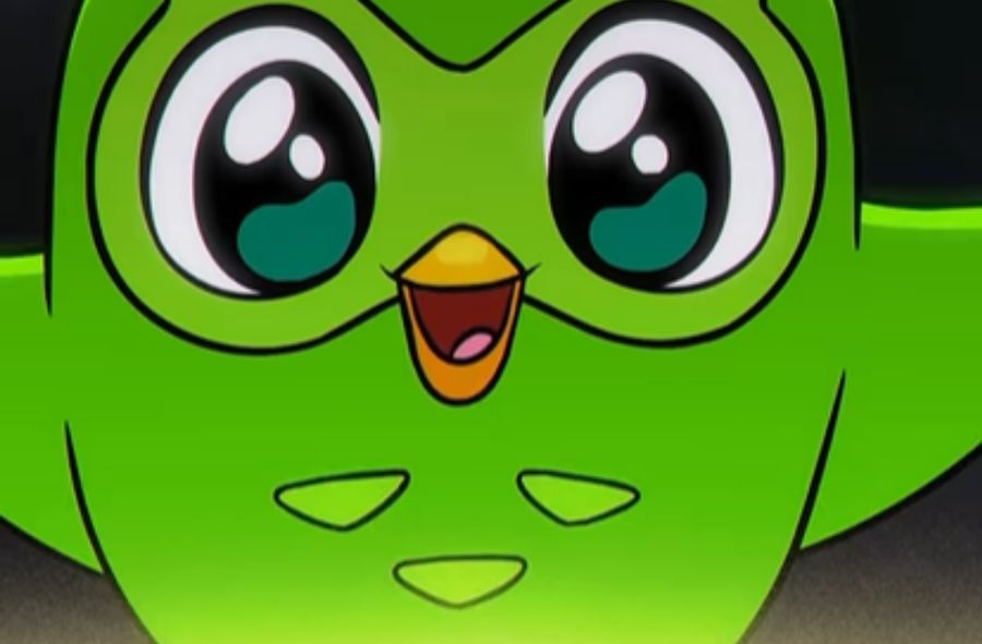 Sowa Duolingo doczeka się własnego anime?