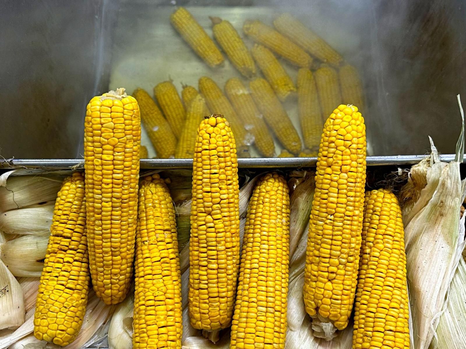 Gotowanie kukurydzy na parze lub w wodzie pozwala zachować większość witamin i minerałów, w tym błonnik, który jest korzystny dla trawienia.