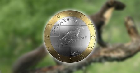 Chorwacka kuna na monecie o nominale 1 euro. Jej wizerunek to plagiat?