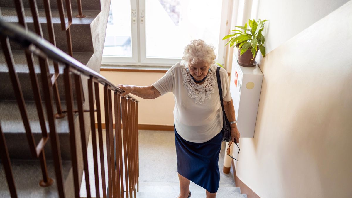 seniorka