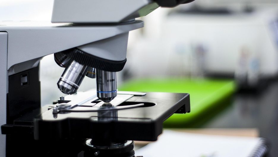 Zdjęcie ilustracyjne - mikroskop.
