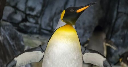 Linux przed macOS-em. Kluczową rolę odegrał ten sprzęt