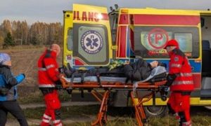 Podeszli za blisko żubra. Oto finał. "Została poturbowana"