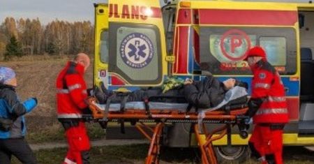 Podeszli za blisko żubra. Oto finał. "Została poturbowana"