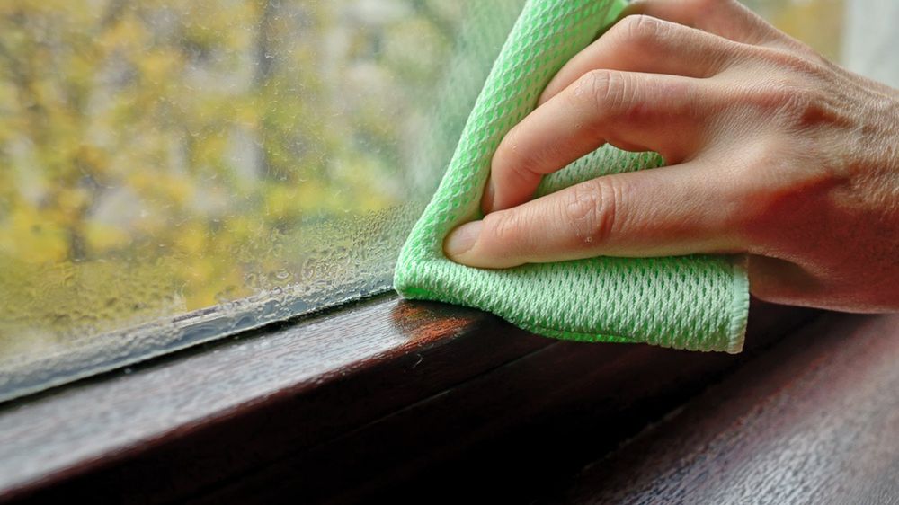 Wilgoć w mieszkaniu pleśń pochłaniacze wilgoci