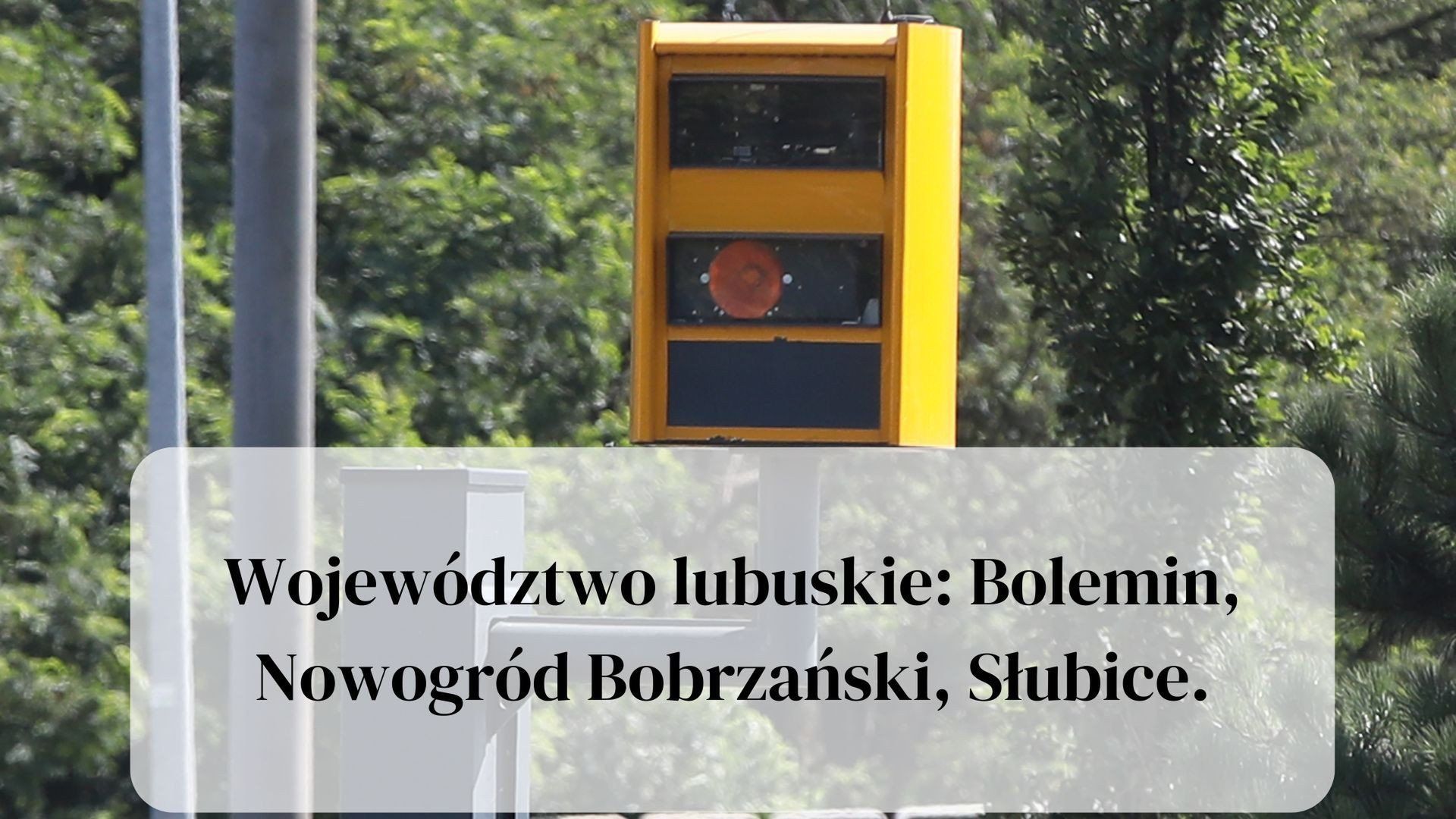 Wirtualna Polska