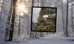 Leśnik znalazł je w lesie. Jest wściekły. "Uważajcie!"