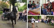 Szamotuły: Rabarbarowa Noc Muzeów w Muzeum Zamku Górków 2026 [ZDJĘCIA]