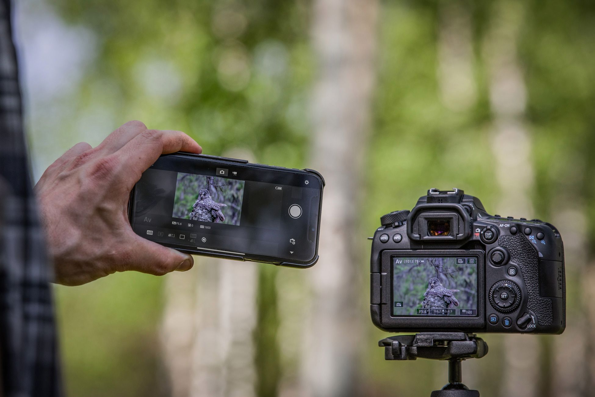 Canon EOS 90D i Canon EOS M6 Mark II to najciekawsze korpusy Canona od lat 24