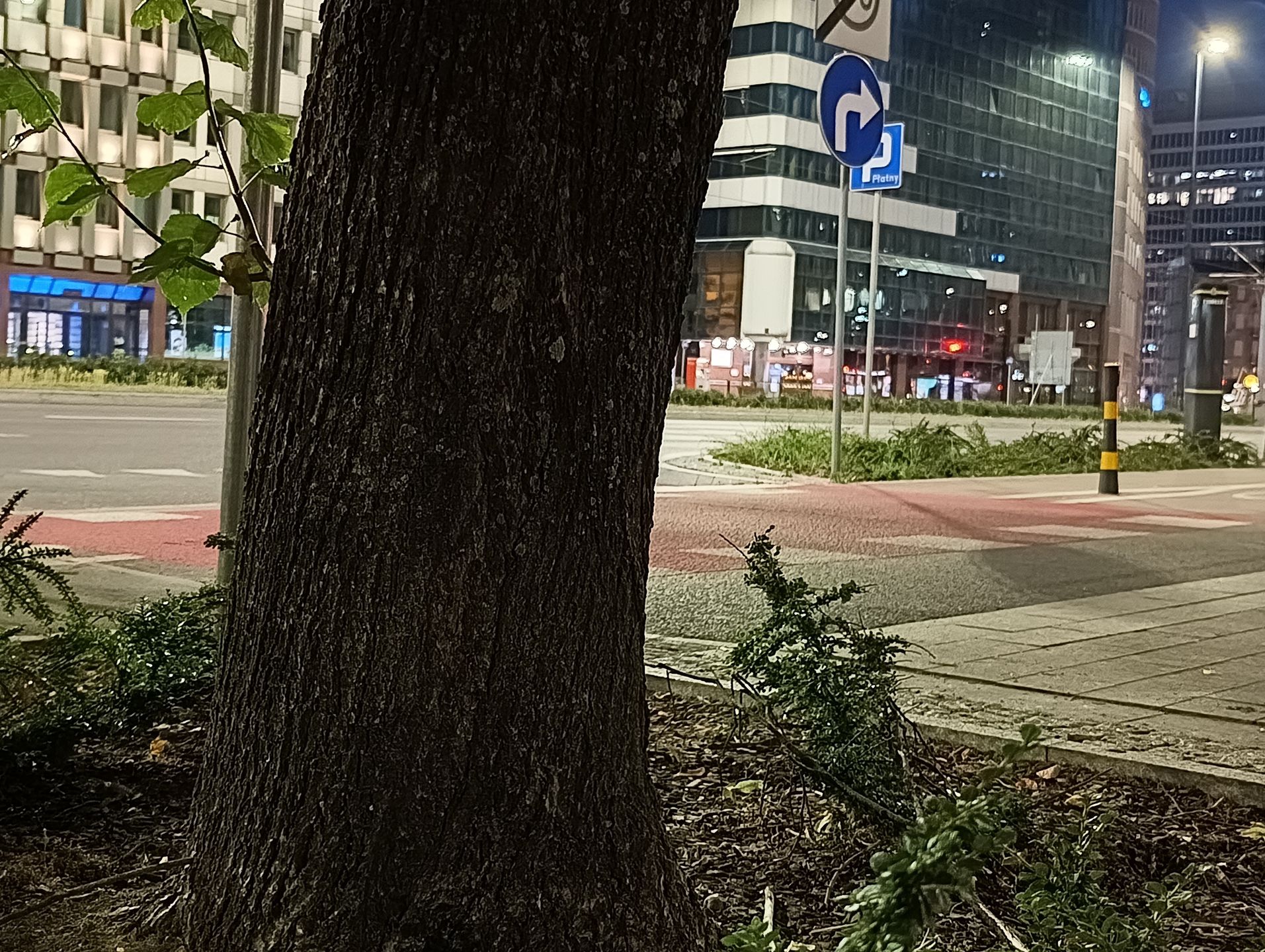 realme 11 Pro+