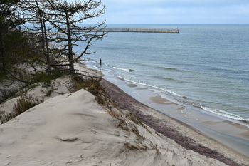 Rzadkie zjawisko w Mielnie. Plaża stała się fioletowa