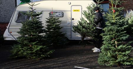 Chciała dostać 760 tys. euro odszkodowania. Polka wpadła przez rzut choinką