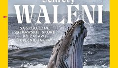 Do wydania nowego numeru National Geographic Polska nie ścięto ani jednego drzewa
