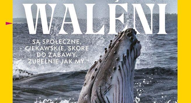 Do wydania nowego numeru National Geographic Polska nie ścięto ani jednego drzewa