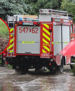 Fatalne skutki wichury. Spadło gniazdo bocianów