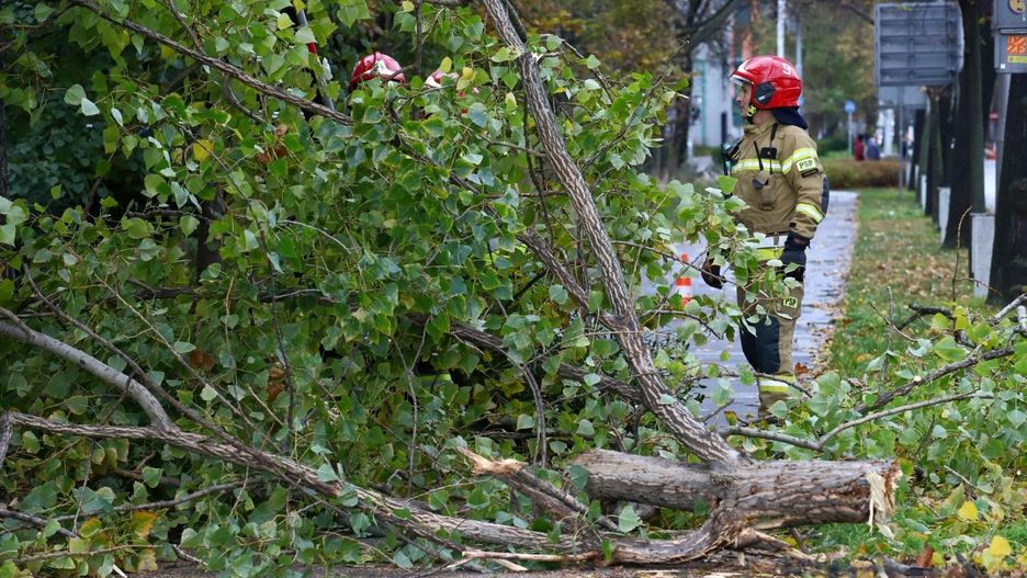 Strażacy odnotowuję kolejne zgłoszenia i interweniują w kilkunastu miejscach we Wrocławiu