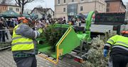 Zielona Góra: Choinki zyskały drugie życie. 800 worków ze zrębkami