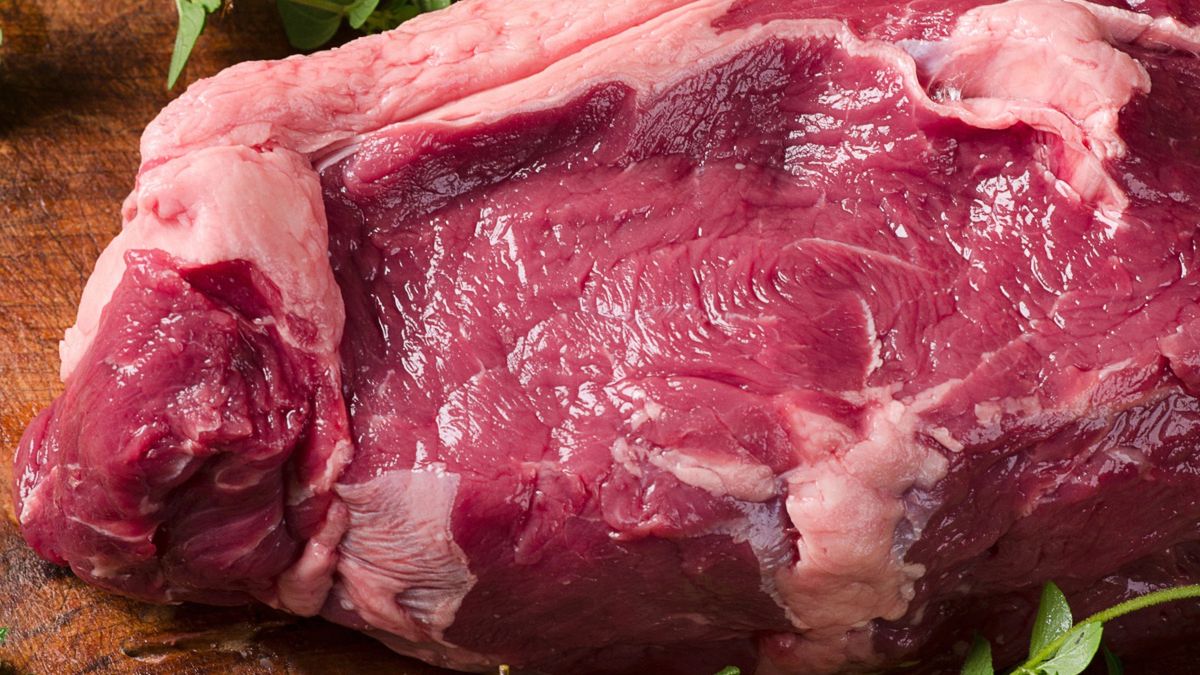 Czy mięso z żubra jest zdrowe?