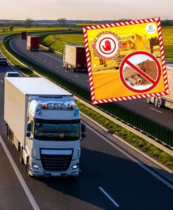 Zatrzymali 22 tys. kg cynamonu z Wietnamu. "Zatęchłe" znalezisko