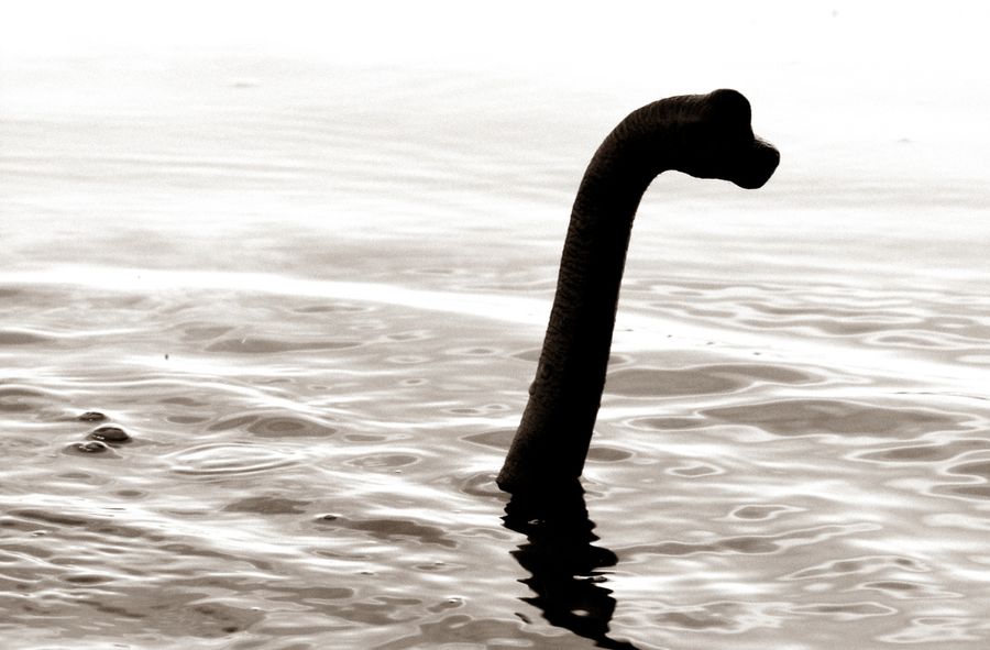 Polowanie na potwora z Loch Ness