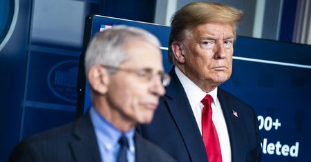 "Kiedy to zobaczyłem, bałem się, że zachoruje". Epidemiolog o Trumpie