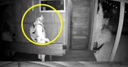 Gorzów: Chodził nocą po działkach na Manhattanie. Nagrała go kamera