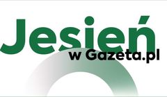 Gazeta.pl startuje z jesienną ramówką. Będzie więcej informacji, treści eko i lifestyle’owych