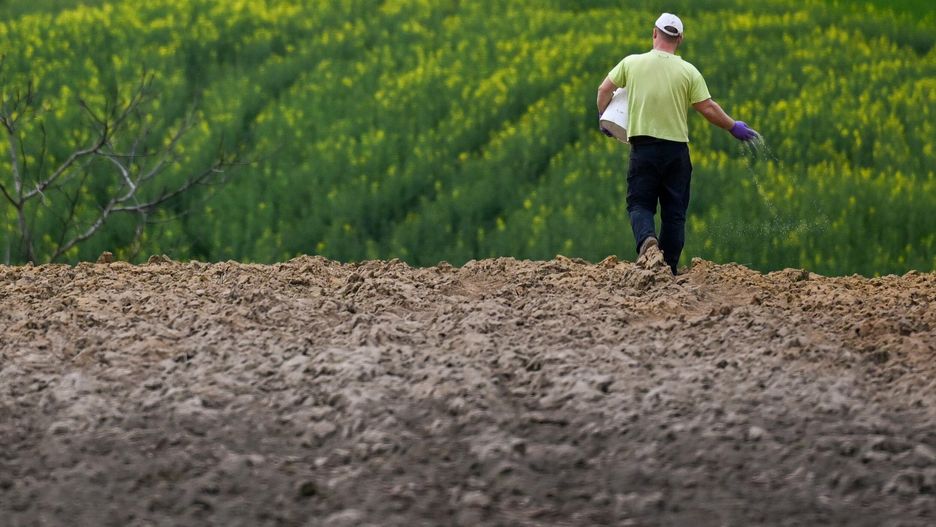 Rokietnica, 06.04.2024. Wiosenne prace na polu w okolicy Rokietnicy, 6 bm. Rolnicy sieją zboża, a także wykonują zabiegi agrotechniczne. (ad) PAP/Darek Delmanowicz
